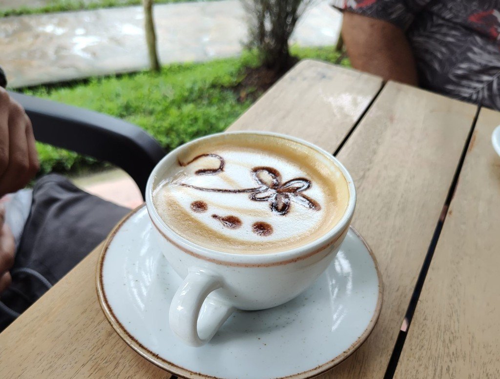 Where to Buy Café Mesa de los Santos Coffee (Available on Amazon)